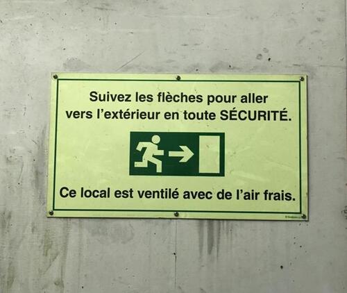 Aventure tragique d'un singe